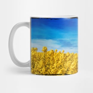 Yellow and Blue - Canola Field and Sky Mug